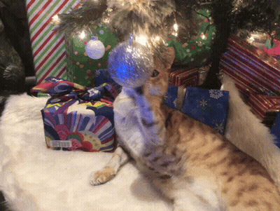 A Cat Laying Under A Christmas Tree Holding A Christmas Ornament GIF
