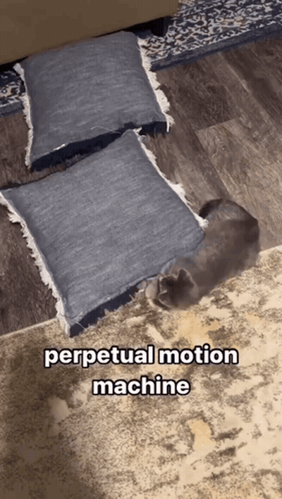 A Cat Laying Under A Pile Of Pillows With The Words Perpetual Motion Machine Above It GIF
