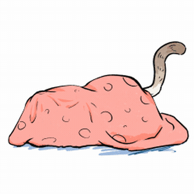 A Cat Laying Under A Pink Blanket With Circles On It GIF