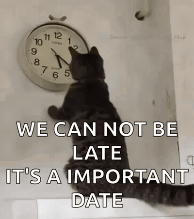 A Cat Looking At A Clock That Says We Can Not Be Late GIF