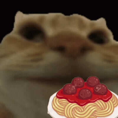 A Cat Looking At A Plate Of Spaghetti With Meatballs And Sauce GIF