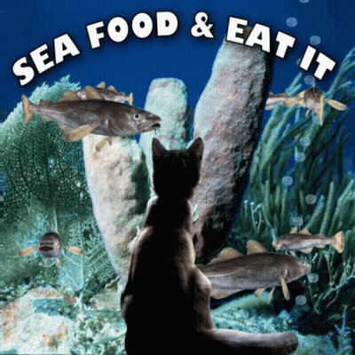 A Cat Looking At Fish In A Sea Food And Eat It Poster GIF