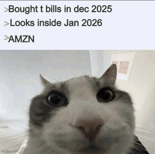 A Cat Looking At The Camera With A Caption That Says Bought T Bills In Dec 2025 GIF