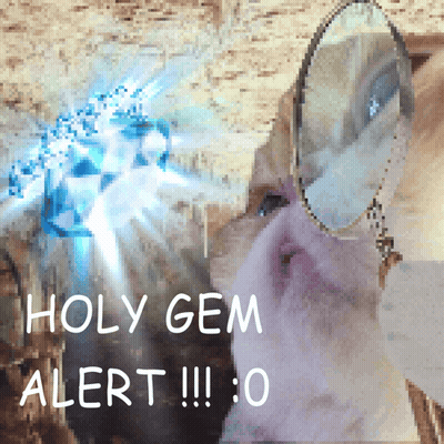 A Cat Looking In A Mirror With The Words Holy Gem Alert Written Above It GIF
