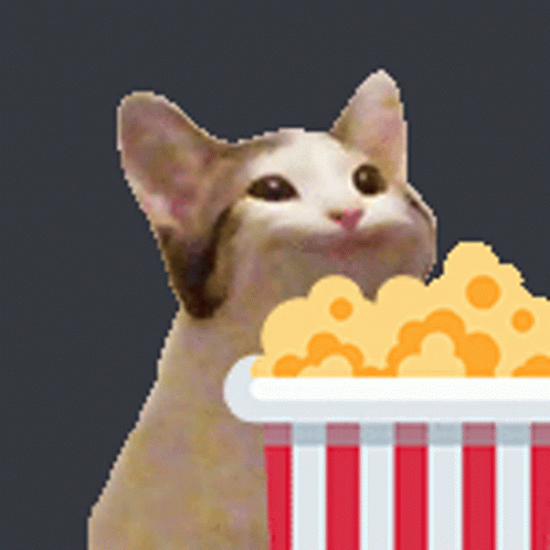 A Cat Looking Up At A Bucket Of Popcorn GIF