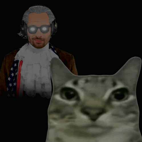 A Cat Looks At A Man Wearing Headphones GIF