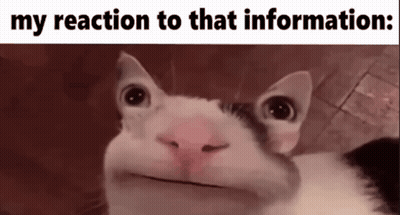 A Cat Making A Face With The Words My Reaction To That Information GIF