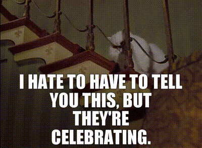 A Cat On A Leash With The Words I Hate To Have To Tell You This But They 'Re Celebrating Written Below It GIF
