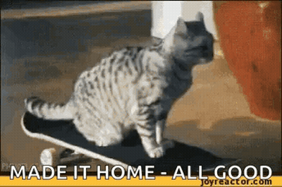 A Cat On A Skateboard With The Words Made It Home All Good GIF