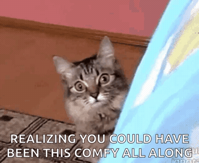 A Cat Peeking Out From Behind A Blue Blanket With The Words Realizing You Could Have Been This Comfy All Along GIF