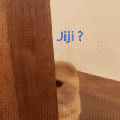 A Cat Peeking Out From Behind A Door With The Word Jiji Written On It GIF