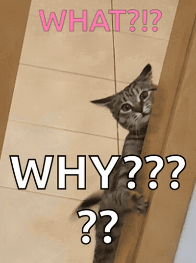 A Cat Peeking Out From Behind A Door With The Words " What Why " Written Above It GIF