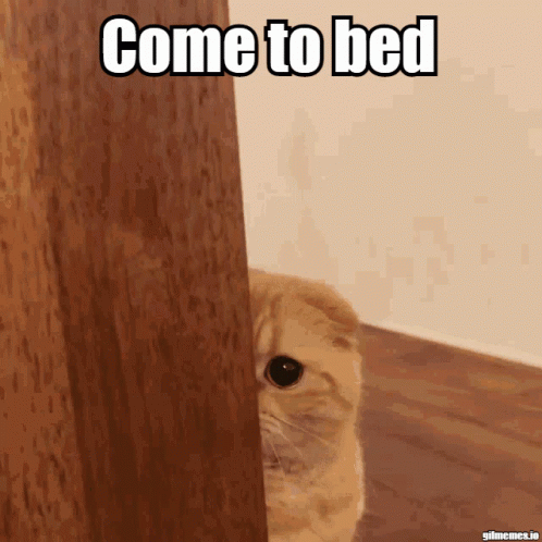 A Cat Peeking Out From Behind A Wooden Door With The Caption Come To Bed GIF