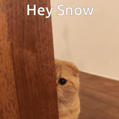 A Cat Peeking Out From Behind A Wooden Door With The Words Hey Snow Written Above It GIF