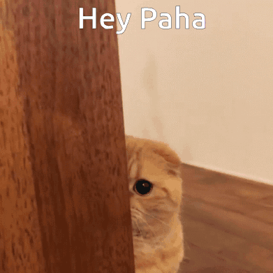 A Cat Peeking Out From Behind A Wooden Wall With The Words Hey Paha Written Above It GIF