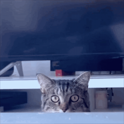A Cat Peeking Out From Underneath A Television GIF