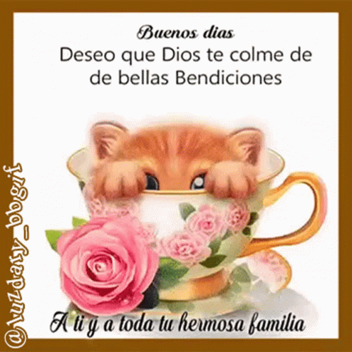 A Cat Peeking Out Of A Cup Of Tea With A Pink Rose GIF
