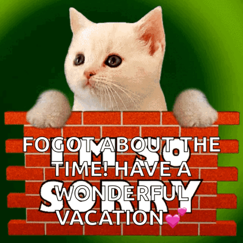 Cat Peeking Over Brick Wall Vacation Message GIF