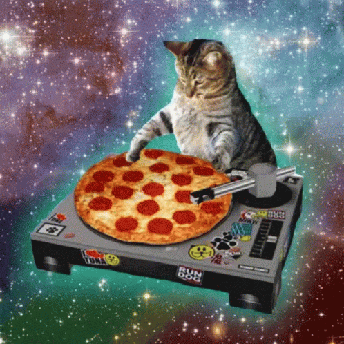 A Cat Playing A Pizza On A Turntable That Says Run Dog GIF