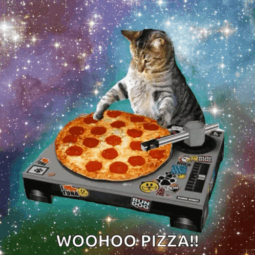 A Cat Playing A Pizza On A Turntable With The Words Woohoo Pizza Written Below It GIF