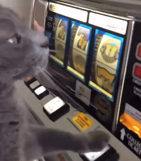 A Cat Playing A Slot Machine With A Collect Ticket Sticker On It GIF