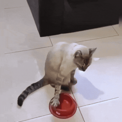 Empty GIFs