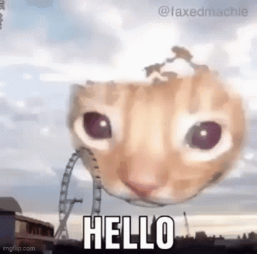 A Cat 'S Head Is Floating In The Sky With The Words `` Hello '' Written On It . GIF