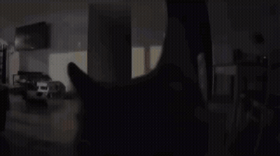 A Cat 'S Head Is Visible In A Dark Living Room GIF