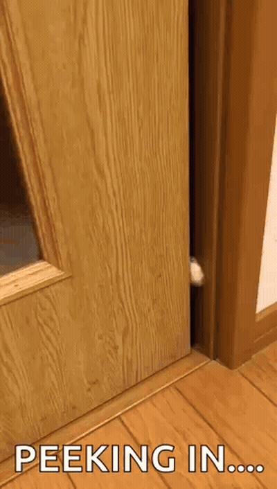 A Cat 'S Paw Is Sticking Out Of A Wooden Door With The Words Peeking In Written On The Bottom GIF