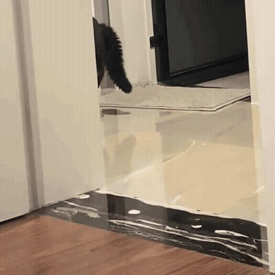 A Cat 'S Tail Is Visible Behind A White Door GIF