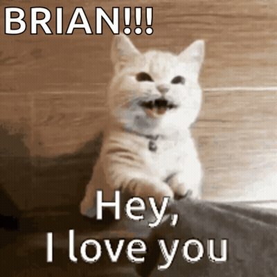 A Cat Says Brian Hey I Love You In Front Of A Wooden Wall GIF