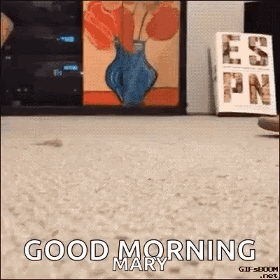 A Cat Says Good Morning Mary In Front Of A Vase Of Flowers GIF
