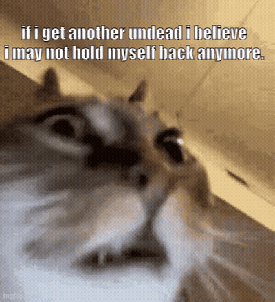A Cat Says If I Get Another Undead I Believe I May Not Hold Myself Back Anymore . GIF