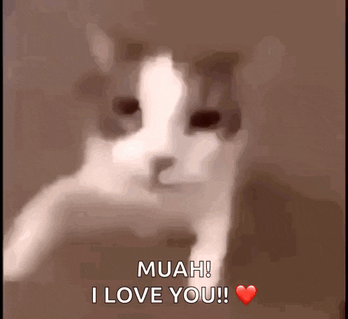 A Cat Says " Muah I Love You " With A Heart In The Background GIF
