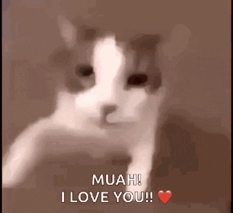 A Cat Says " Muah I Love You " With A Heart In The Corner GIF