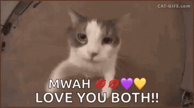 A Cat Says Mwah Love You Both With Purple Hearts And Kisses GIF