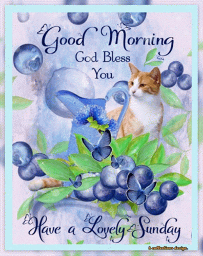 A Cat Sits In A Watering Can Surrounded By Blueberries And Butterflies On A Good Morning Card GIF