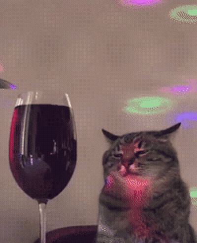 A Cat Sits Next To A Glass Of Wine GIF