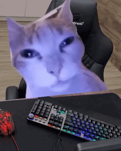A Cat Sits On A Desk Next To A Keyboard And A Mouse GIF