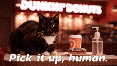 A Cat Sits On A Table In Front Of A Dunkin Donuts Sign GIF