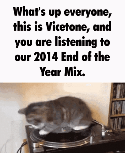 A Cat Sits On Top Of A Record Player With The Words " What 'S Up Everyone This Is Vicetone " Written Above It GIF