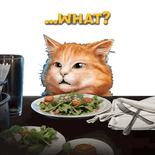 A Cat Sitting At A Table With A Plate Of Food And The Words What On The Bottom Sticker