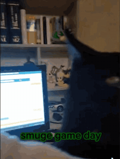 A Cat Sitting In Front Of A Computer With The Words Smuge Game Day Written On The Screen GIF
