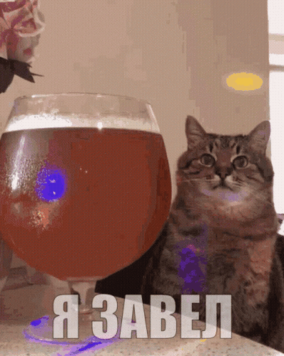 A Cat Sitting In Front Of A Glass Of Beer With The Word " Я Завел " Written On The Bottom GIF