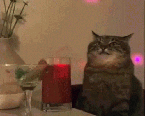 A Cat Sitting Next To A Glass Of Juice GIF
