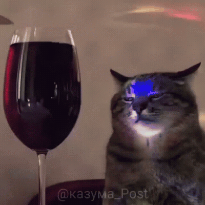 A Cat Sitting Next To A Glass Of Wine GIF