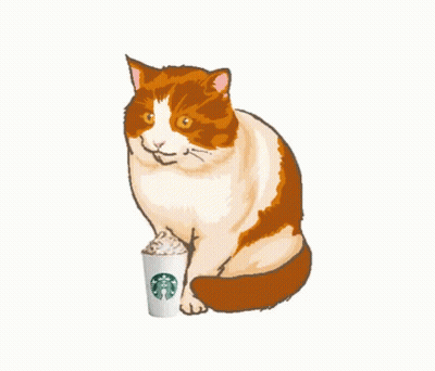 A Cat Sitting Next To A Starbucks Cup GIF