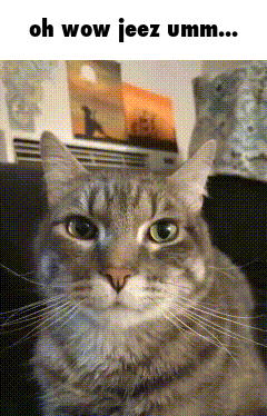 A Cat Sitting On A Couch With The Words Oh Wow Jeez Umm Written Above It GIF