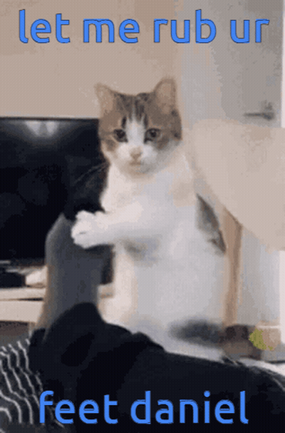 A Cat Sitting On A Person 'S Lap With The Words Let Me Rub Ur Feet Daniel GIF