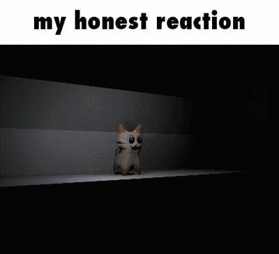 A Cat Sitting On A Shelf With The Words " My Honest Reaction " Below It GIF